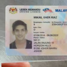 Hi what a malaysian driving licence number plates for. Driving Instructor