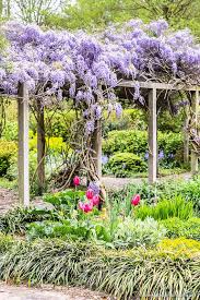 Picnic Spots In London Where To Find The City S Best Places For Picnics London Garden Secret Garden Beautiful Gardens
