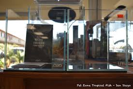 Ada Aqua Design Amano 20c Vs Uns Ultum Nature Systems 20c Rimless Cube Tank Comparison Nature Aquarium Nano Tank Tanked Aquariums