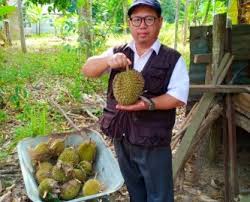 • ia juga merupakan strategi untuk meningkatkan produktiviti kawasan pertanian sedia ada. Anim Agro Technology Sistem Pertanian Bersepadu Terbaik
