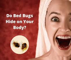 Yep it happened to me. Where Do Bed Bugs Hide On Your Body Fullscope Pest Control