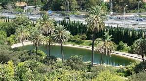 Der alte garten besticht durch die lage an der förde und den wunderbaren alten baumbestand. Alter Botanischer Garten Jardin Botanico Historico La Concepcion Malaga Reisebewertungen Tripadvisor