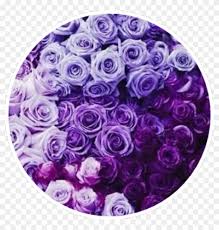 Dark purple aesthetic neon aesthetic aesthetic themes aesthetic pictures photo wall collage picture wall era edo jdm wallpaper street racing cars. Soft Purple Aesthetic Clipart 431383 Pikpng