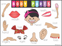 Then find a secret messa. Human Body Parts Home Facebook