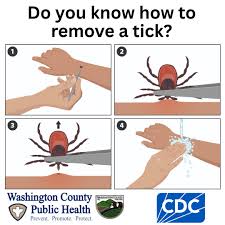 Image result for Tick Removal