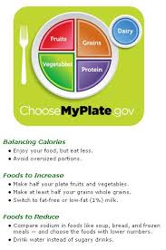 The card with the image of the dryers for fruits and the fruits label with a plate with dried fruits. Better Version Of My Plate Precision Nutrition S Eating Guidelines For Clients Precision Nutrition