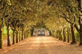 Image result for Tuscany villa