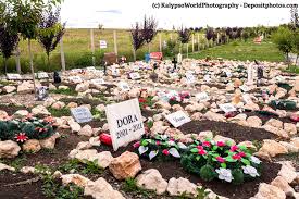 Nur hat der gesetzgeber die änderung der klimatischen. Tierbestattung Was Ist Moglich Und Erlaubt Haustiermagazin