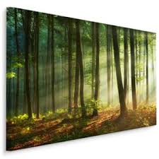 Leinwand poster bild natur neu. Leinwandbilder Natur Gunstig Online Kaufen Kaufland De