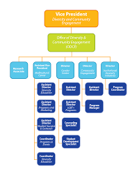 Organizational Chart Office Of Diversity And Community