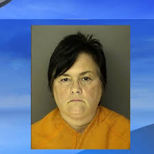 Conway business owner charged with sales tax evasion