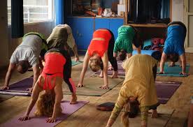 Downward Dog Yoga Practice Downward Dog Yoga School Yoga Teacher Training Ashtanga Vinyasa Yoga