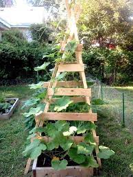 Check spelling or type a new query. Pin On Gardening