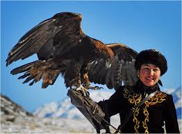 Nah, sebetulnya ada atau tidak sih burung dikatakan jika ada 7 jenis garuda di dunia, yaitu garuda harpy di amerika selatan sebanyak 4 orang maori di new zealand menamai garuda haast yang besar tersebut dengan sebutan hokioi. 80 Gambar Burung Garuda Terbesar Terlihat Keren Gambar Pixabay