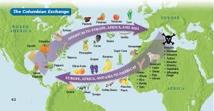 The Columbian Exchange Diagram Quizlet