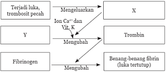 Check spelling or type a new query. Kunci Jawaban Ipa Kelas 8 Halaman 283 284 285 286 Bab 6 Uji Kompetensi Ilmu Edukasi