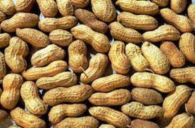 Allaitement Consommer Des Cacahuetes Reduit Les Risques D Allergie