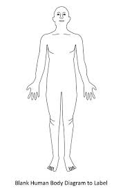 It is the fact that the standard anatomical position of the body is to stand straight with front facing palms of the hands. Body Regions And Anatomic Position Diagram Quizlet