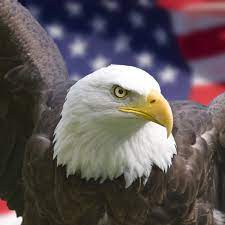 3 Reasons Why America Is The Greatest Country On Earth Soapboxie