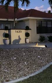 House Rabbit Society