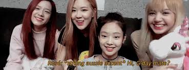 Download Blackpink Wallpaper Gif Cikimm Com