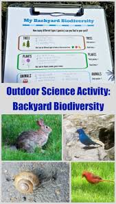 Citizen science project student activity sheet. Ecology Science Activity Biodiversity In Your Own Backyard Edventures With Kids