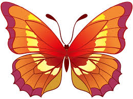Discover free hd butterfly png images. Butterfly Clipart Free Download Transparent Png Creazilla