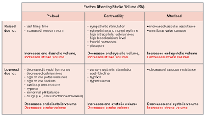 According to the american heart association, a healthy ejection fraction ranges between 50% and 70%. Stroke Volume Wikiwand