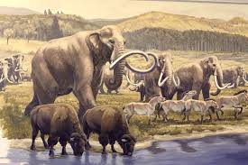 Extinct Megafauna Colombian Mammoths And Steppe Bison Mingling At A Waterhole In 2020 Ancient Animals Prehistoric Animals Extinct Animals