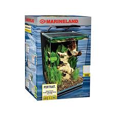 What Is The Best Tank Size For Betta Fish Bowls Kits Reviewed 2021
