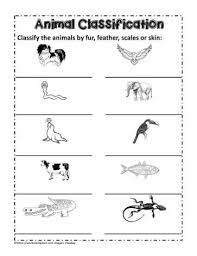 Each animal belongs to a particular class made up of creatures that resemble each other in significant ways. Classify The Animals Worksheets