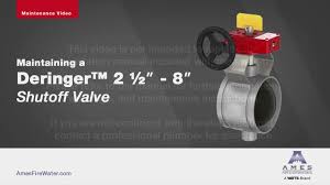 The double check detector assembly (dcda) is an outgrowth of the double check valve and is primarily utilized in fire line installations. Deringer 30 30g Ames Fire Waterworks