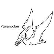 Enkele bekende dinosaurusen die je zal terugvinden zijn de stegosaurus de triceratops de tyrannosaurus de velociraptor en de diplodocus. Kleurplaat Dinosaurus 3772