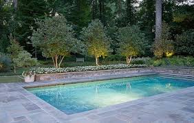 The cost range mirrors top quality as well as size of the swimming pool concerned. Cool Pool Rectangle Pool Pool Patio Bluestone Patio