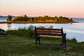 Image result for strangford lough causeway