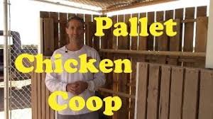 Check spelling or type a new query. How To Build Your Own Homestead Pallet Chicken Coop On A Budget