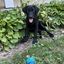 TOP 10 BEST Adult Entertainment in Bethlehem, PA - Updated 2025 - Yelp