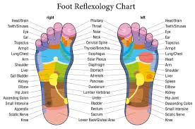 Simple Reflexology Foot Map Derval Ingleton