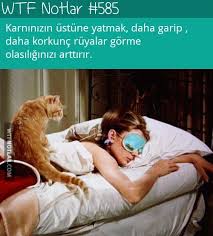 Wtf Notlar Gercekler Biliyor Muydunuz Psikoloji