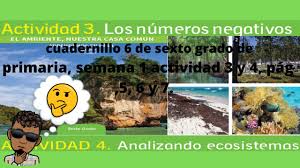 Busca un papel que mida aproximadamente 8 x 13 cm (3 x 5 pulgadas). Cuadernillo 6 De Sexto Grado De Primaria Semana 1 Actividad 3 Y 4 Pag 5 6 Y 7 Youtube