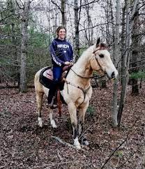 All you need to know about horse for sale: Buckskin Horses Quarter Horses For Sale