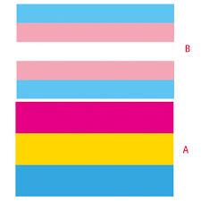 Thus, a pansexual person would be attracted to cisgender, transgender. 3x5 Fusse Pansexual Flagge Regenbogen Banner Omisexual Lgbt Pansexual Stolz Dekoration Flags Banners Accessories Aliexpress