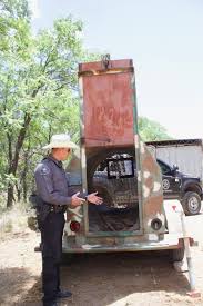 Game And Fish Tracking Bear Javelina Silvercity Daily Press