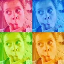 Diversified Waste Management, Inc.