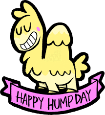 Funny hump day sayings, quotes and cartoons with cards & wallpapers for everybody. Tired Wednesday Gif By Phil Corbett Find Share On Giphy