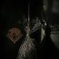 Witches Brooms event image