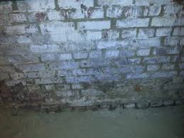 Ist die wand erstmal nass und der schimmel erst mal drin, hilft nur noch eine professionelle. Feuchtigkeit In Der Wohnung So Handeln Sie Richtig