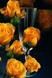 Augura buon compleanno con una grande sorpresa, scegli i professionisti delle consegne a domicilio. Foto Google Foto Immagini Di Fiori Bellissimi Fiori Fiori
