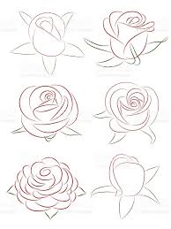 A Set Of Six Red Buds Of Roses Hand Drawing Vector Illustration Flower Drawing Roses Drawing Flower Sketches