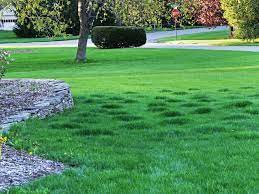 How to water a huge lawn. Lumpy Bumpy Lawn Causes And Fixes How To Repair A Bumpy Lawn Lawnsavers